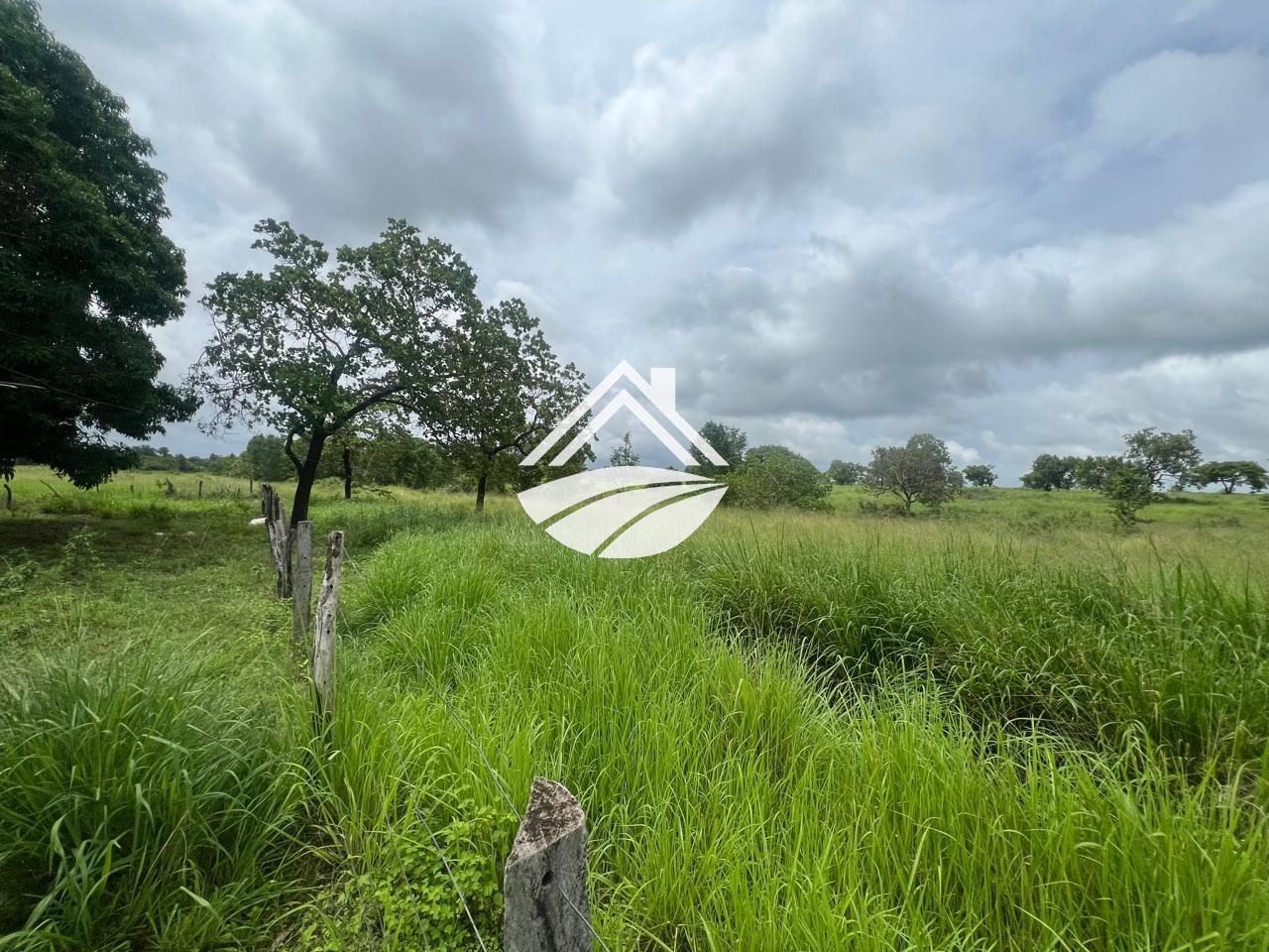 Fazenda, 65 hectares - Foto 18