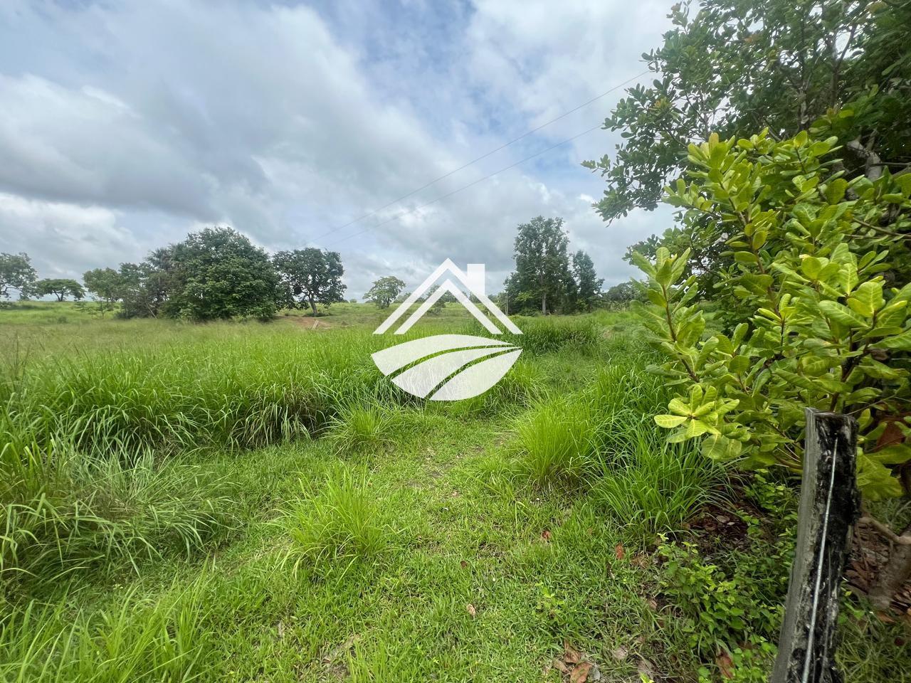 Fazenda, 65 hectares - Foto 16