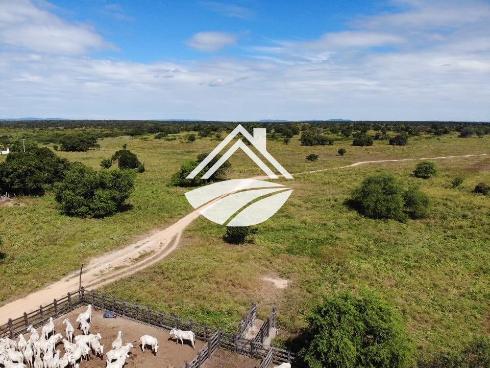 Fazenda, 1 m² - Foto 8