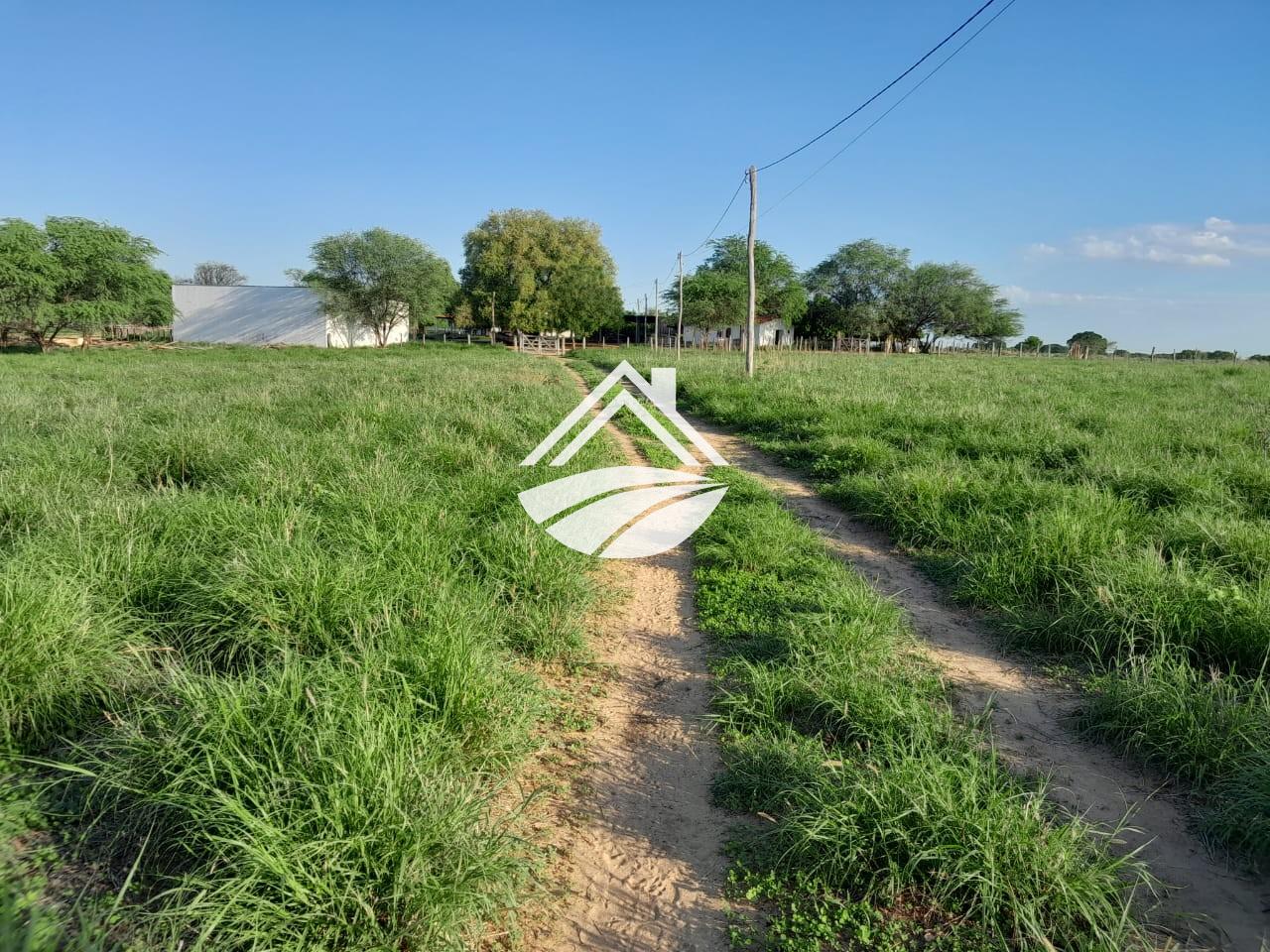 Fazenda, 1 m² - Foto 6