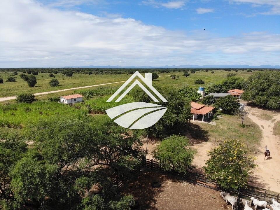 Fazenda, 1 m² - Foto 10