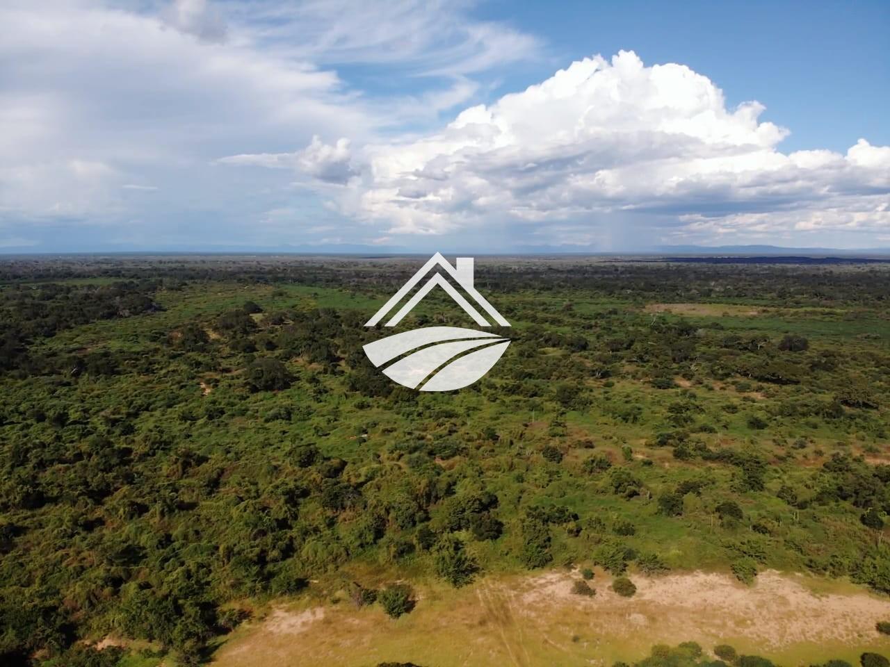 Fazenda, 1 m² - Foto 15