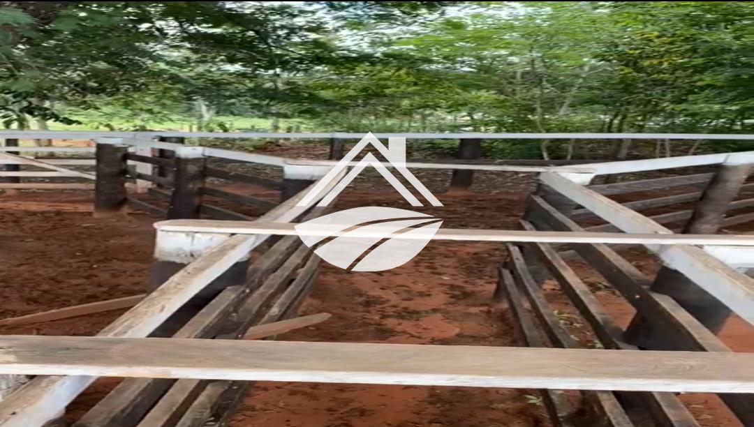 Fazenda, 111 hectares - Foto 4