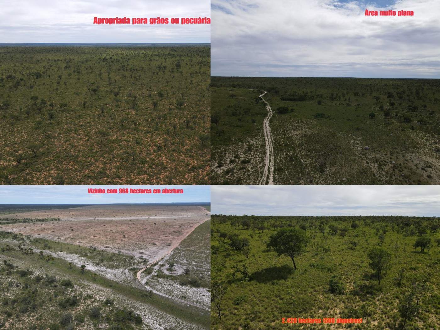 Fazenda, 1 m² - Foto 3