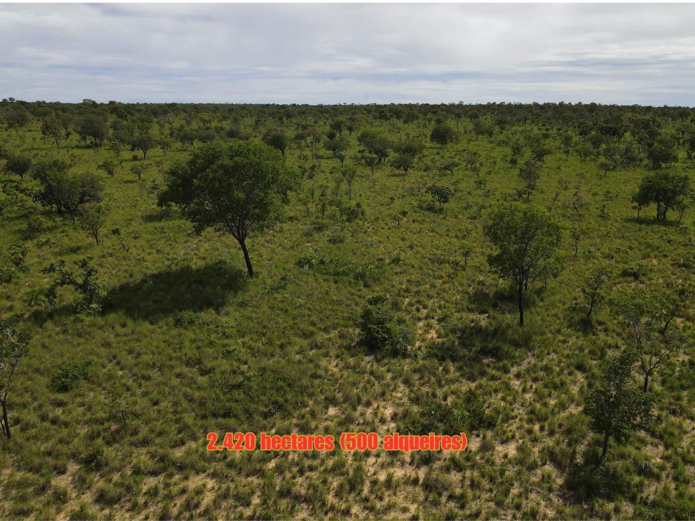 Fazenda, 1 m² - Foto 4