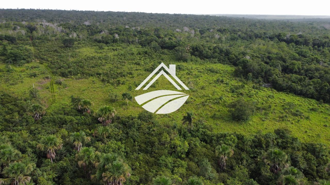 Fazenda, 1 m² - Foto 3