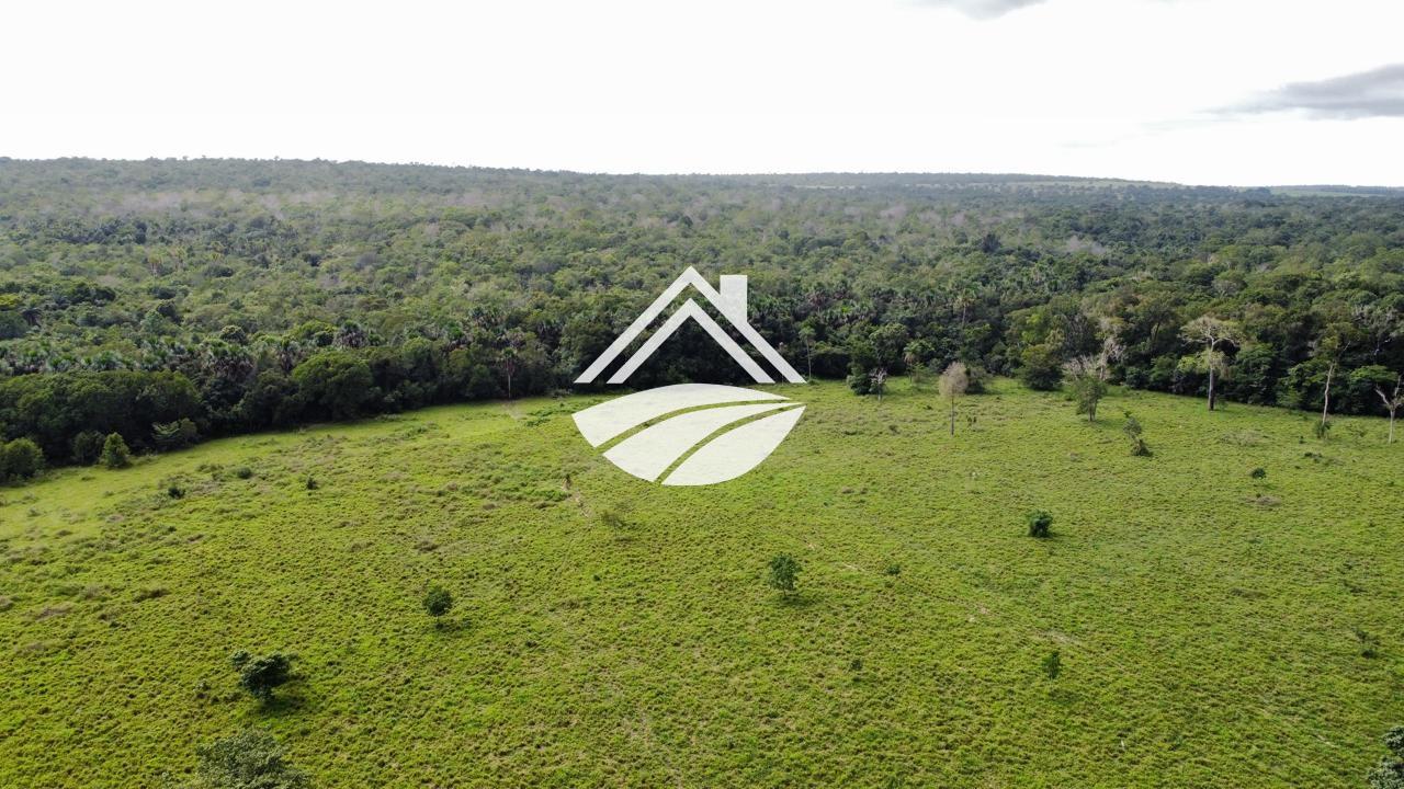 Fazenda, 1 m² - Foto 6