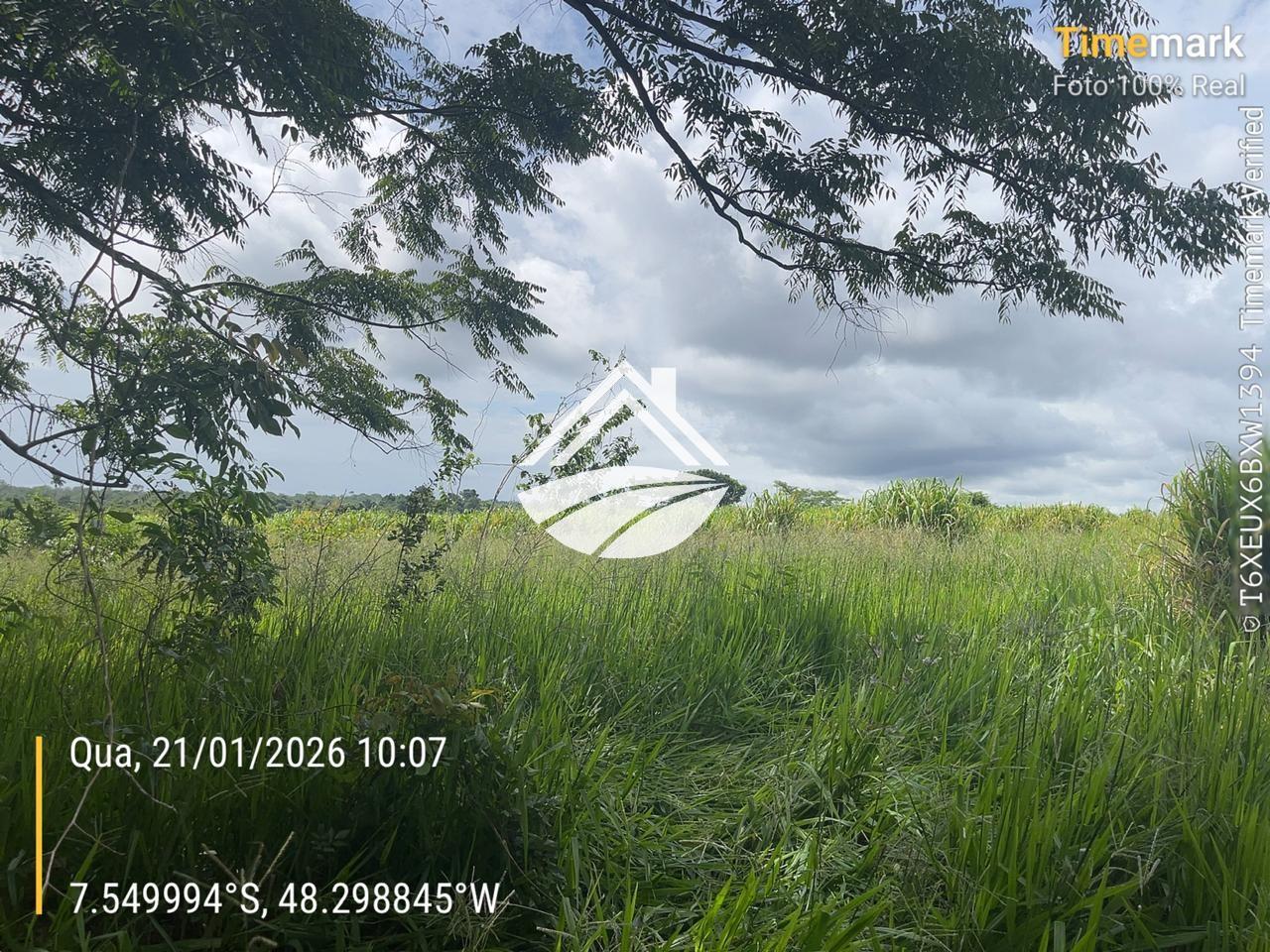 Fazenda, 1 m² - Foto 7