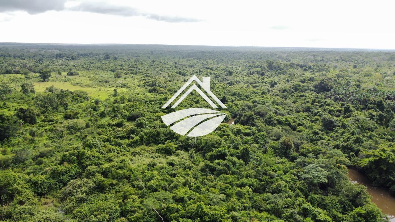 Fazenda, 1 m² - Foto 5