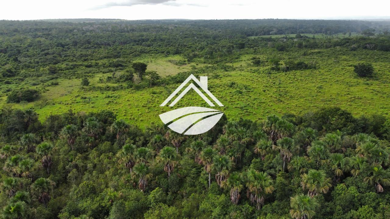 Fazenda, 1 m² - Foto 4