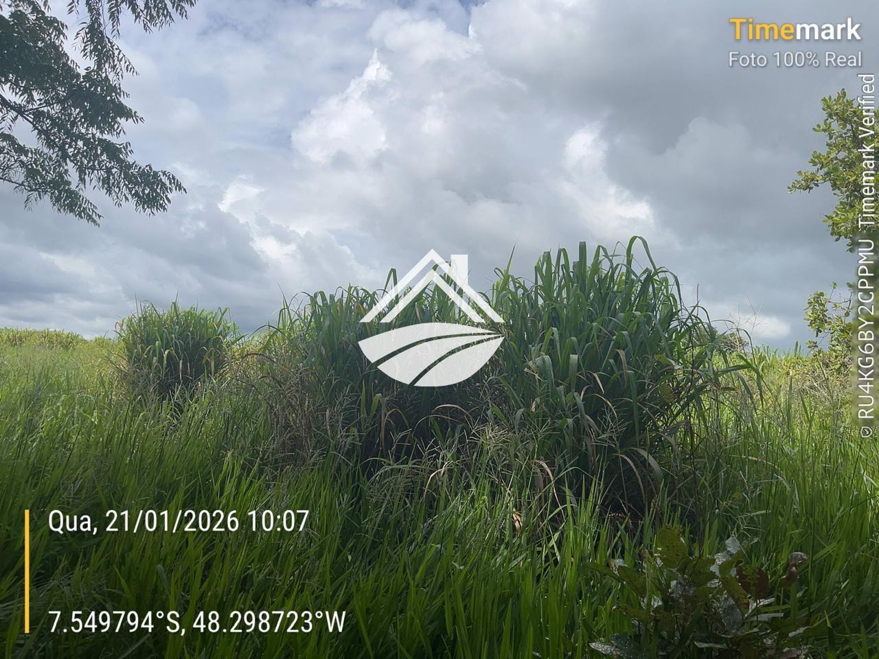 Fazenda, 1 m² - Foto 8