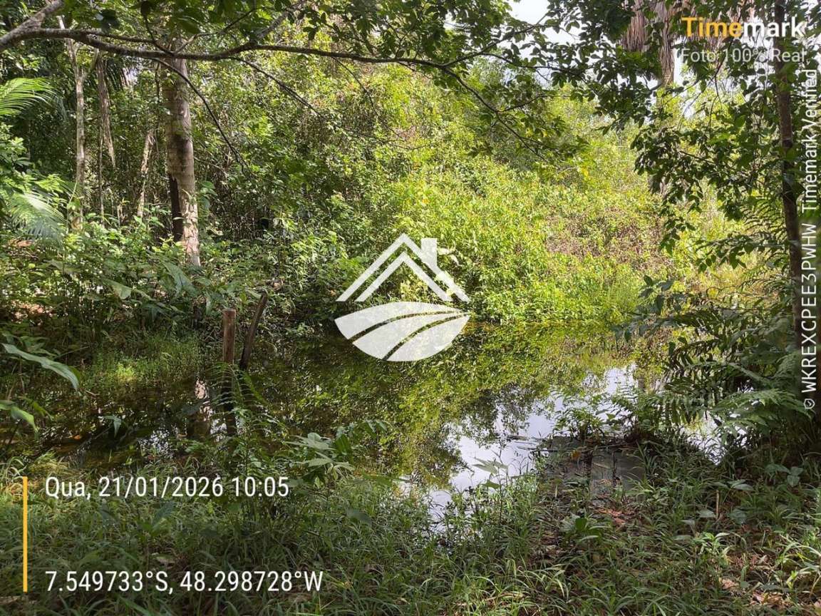 Fazenda, 1 m² - Foto 10