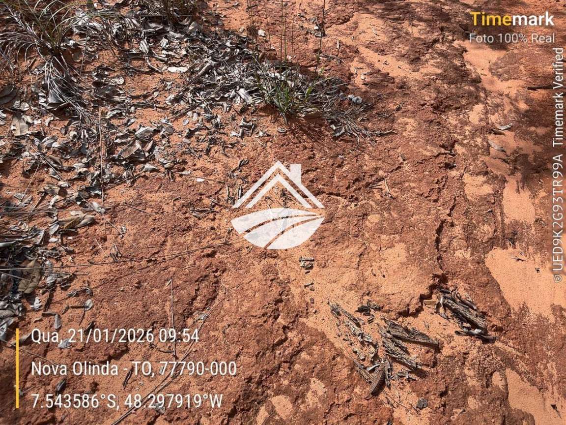 Fazenda, 1 m² - Foto 12