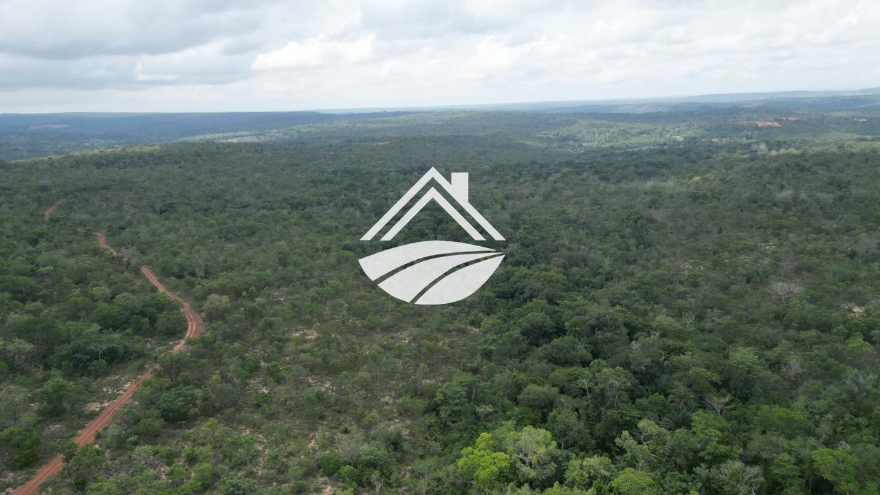 Fazenda, 343 hectares - Foto 3