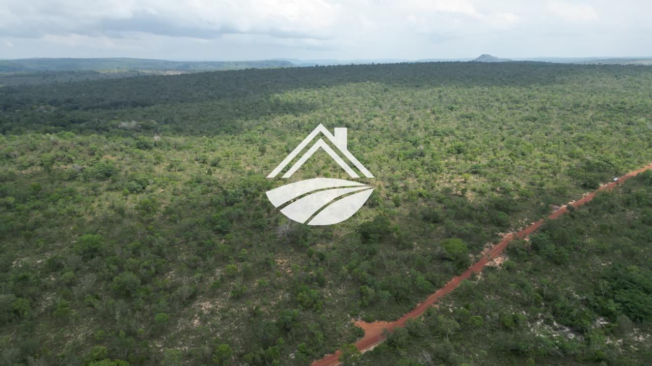 Fazenda, 343 hectares - Foto 2