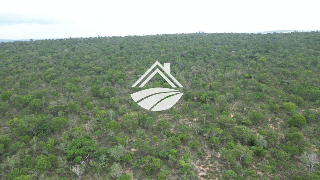 Fazenda, 343 hectares - Foto 4