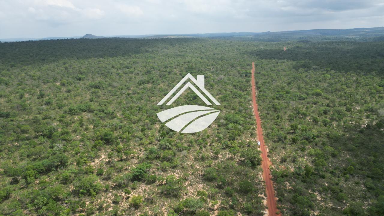 Fazenda, 343 hectares - Foto 6