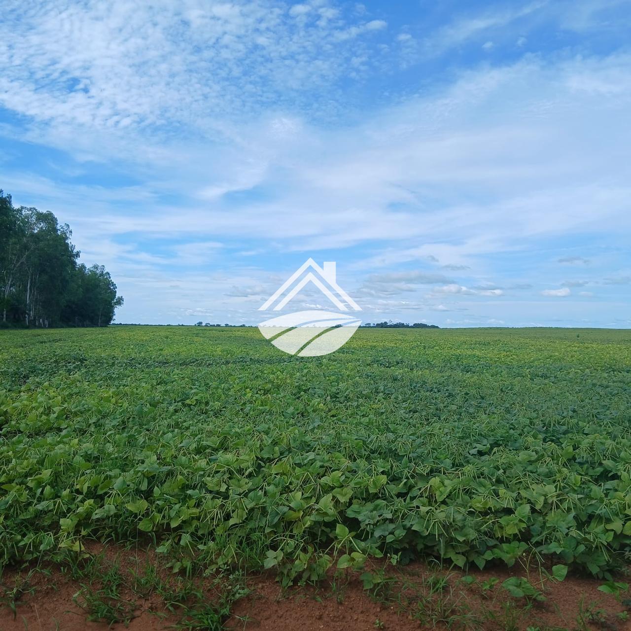 Fazenda, 164 m² - Foto 1