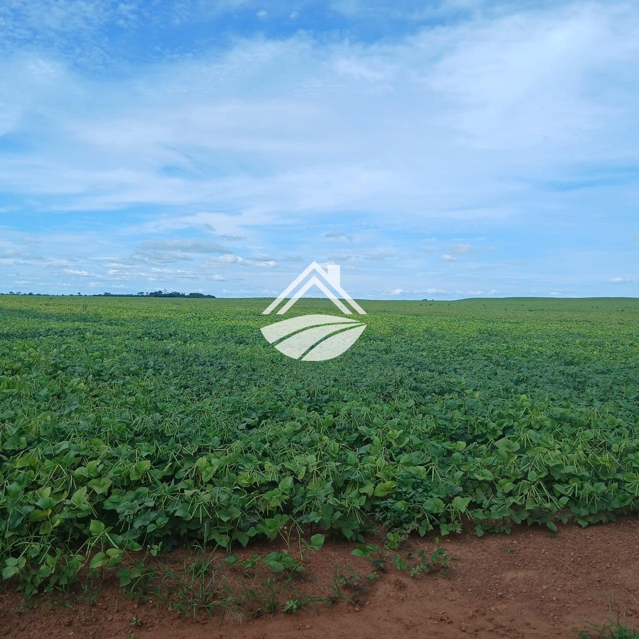 Fazenda, 164 m² - Foto 3