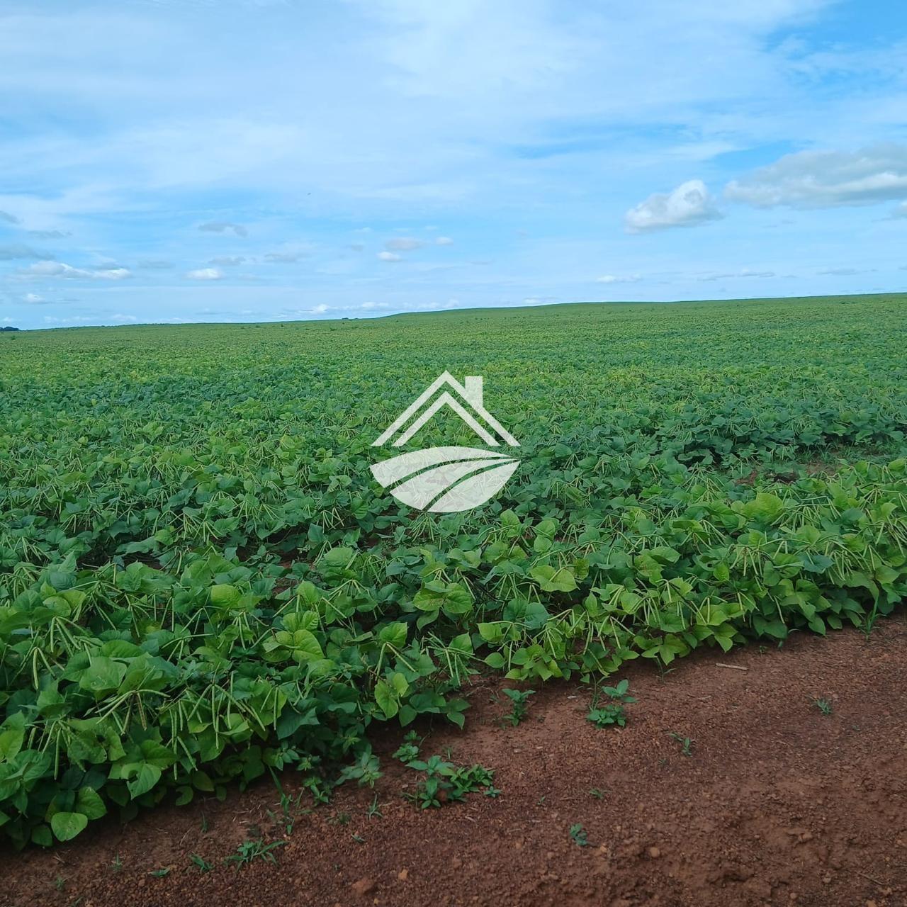 Fazenda, 164 m² - Foto 4