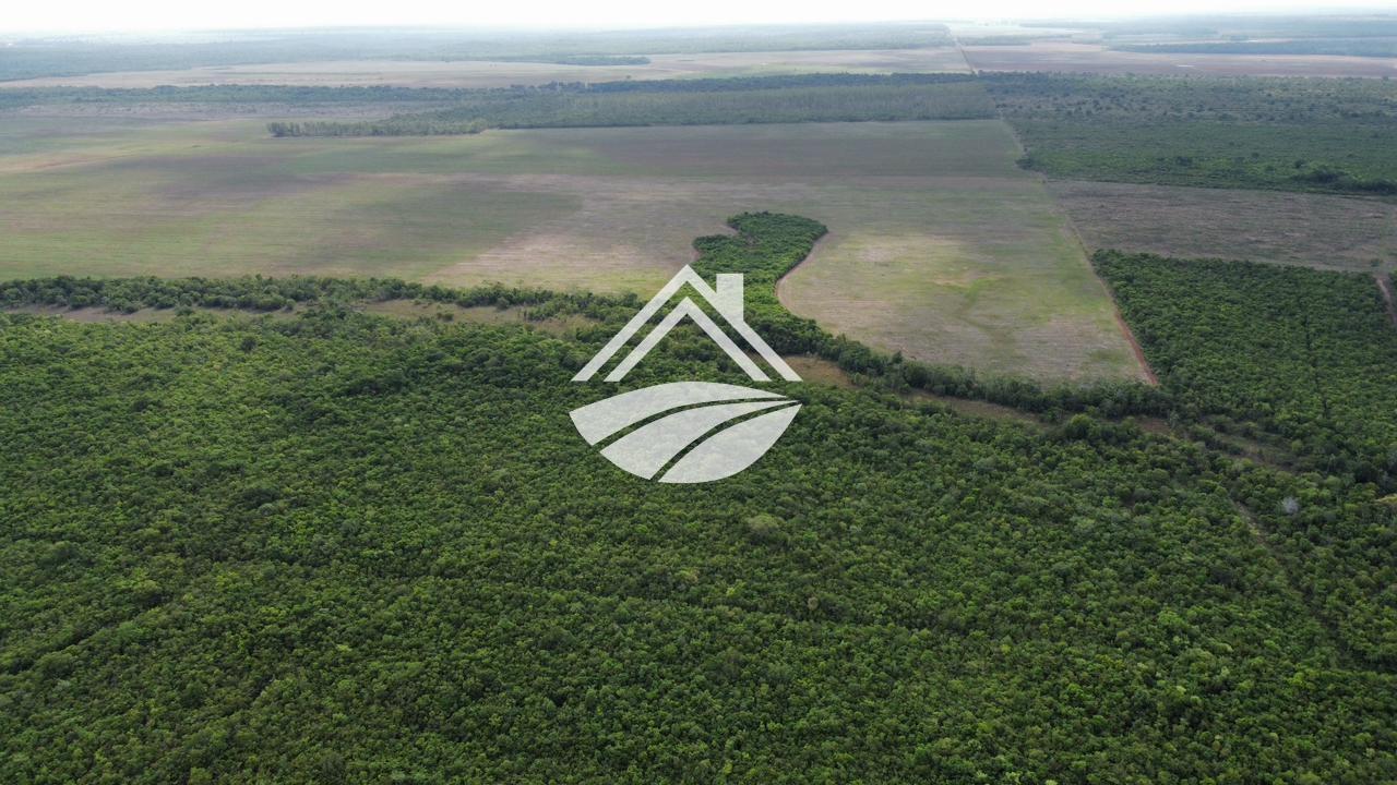 Fazenda, 164 m² - Foto 8