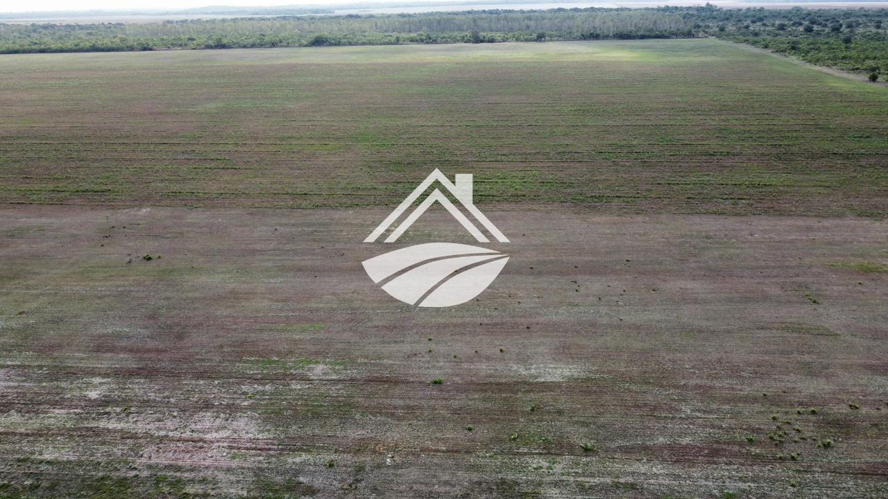 Fazenda, 164 m² - Foto 9
