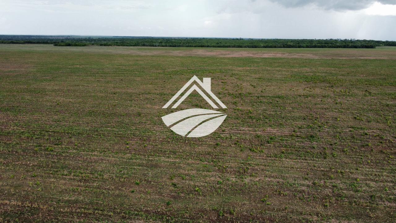 Fazenda, 164 m² - Foto 11
