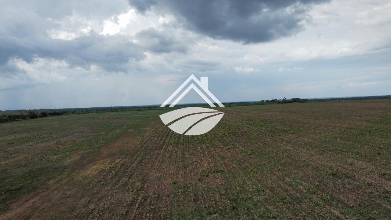 Fazenda, 164 m² - Foto 13