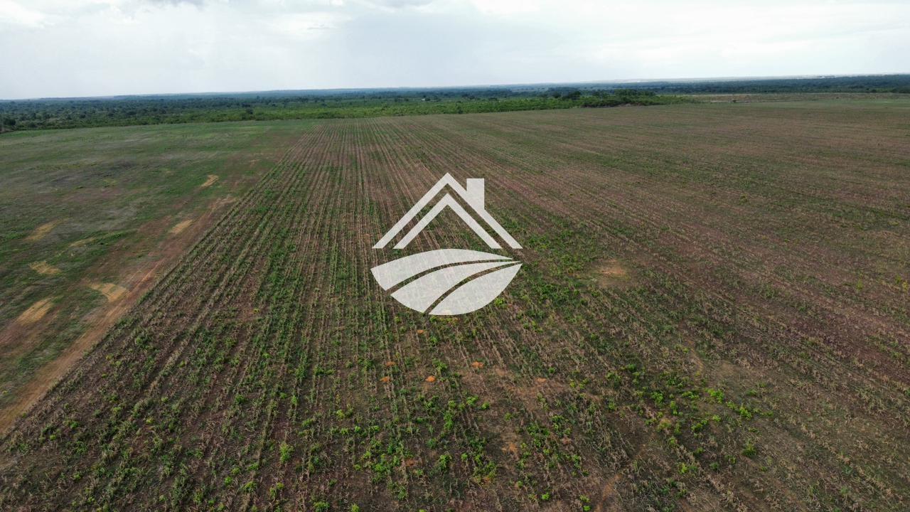 Fazenda, 164 m² - Foto 12