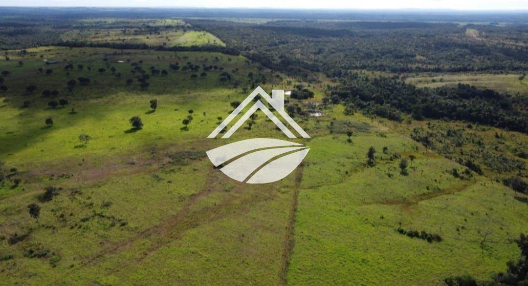 Fazenda, 1 m² - Foto 10