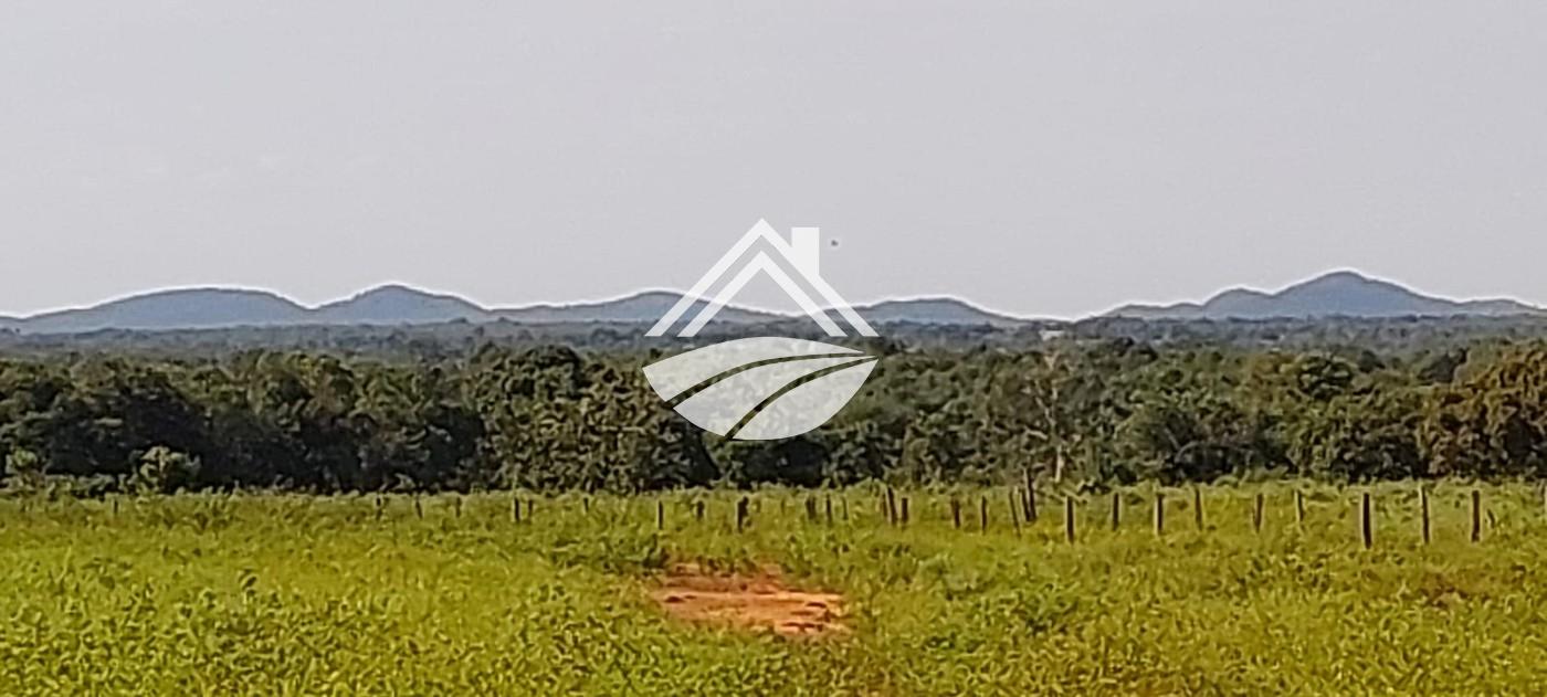 Fazenda, 2433 m² - Foto 5