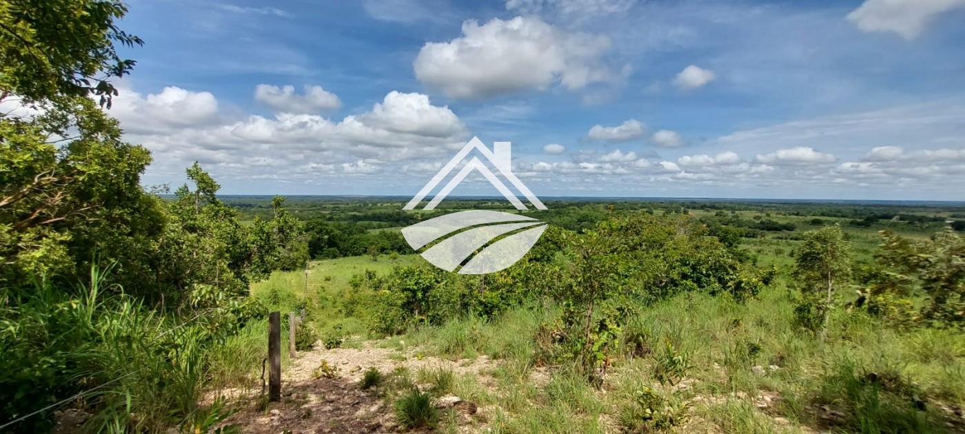 Fazenda, 2433 m² - Foto 8