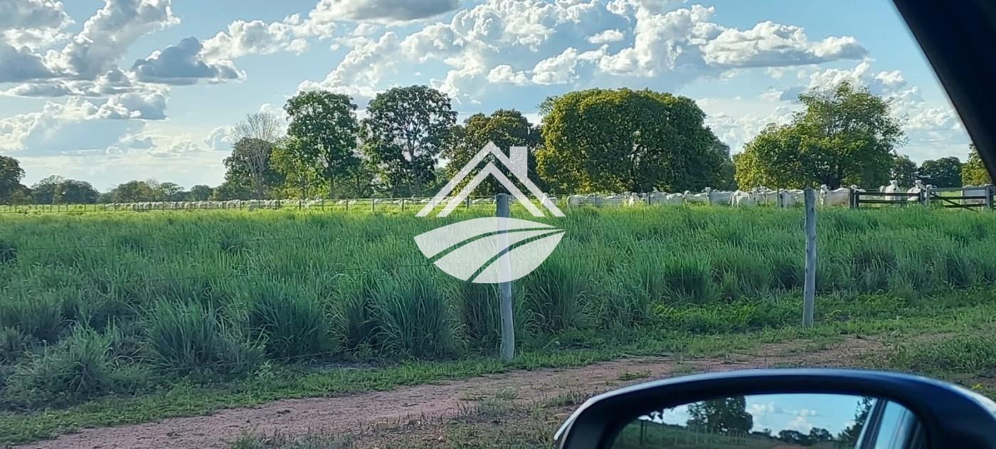 Fazenda, 2433 m² - Foto 7