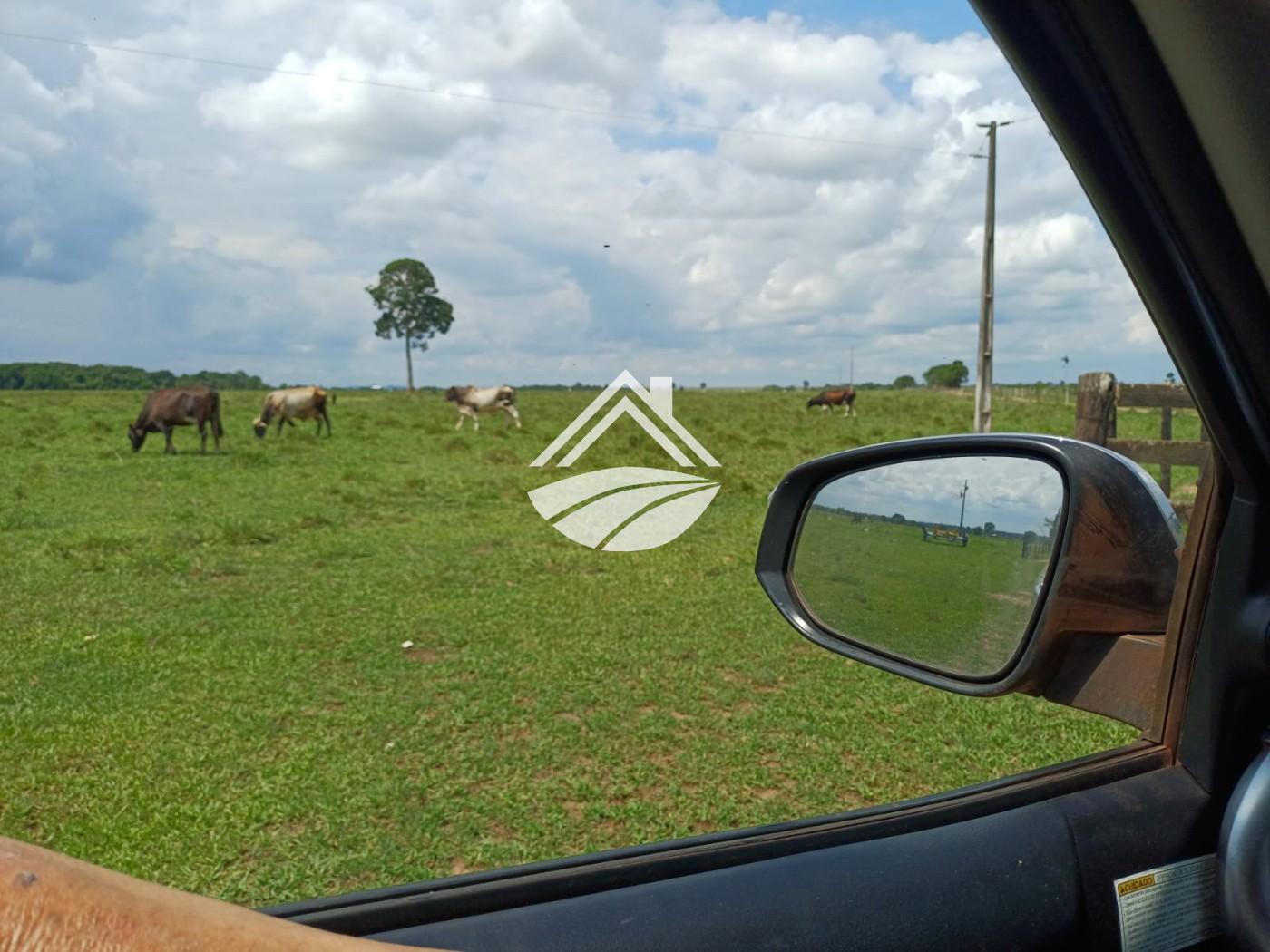 Fazenda, 1597 m² - Foto 4