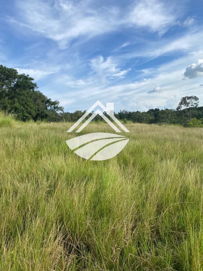 Fazenda, 184 m² - Foto 7