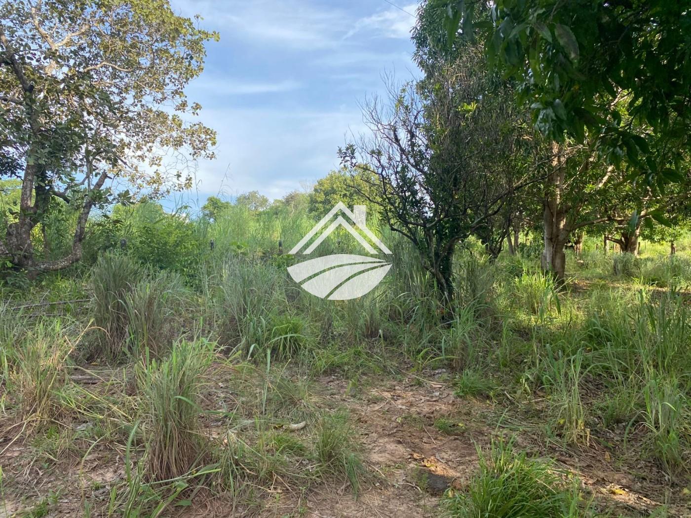 Fazenda, 184 m² - Foto 16
