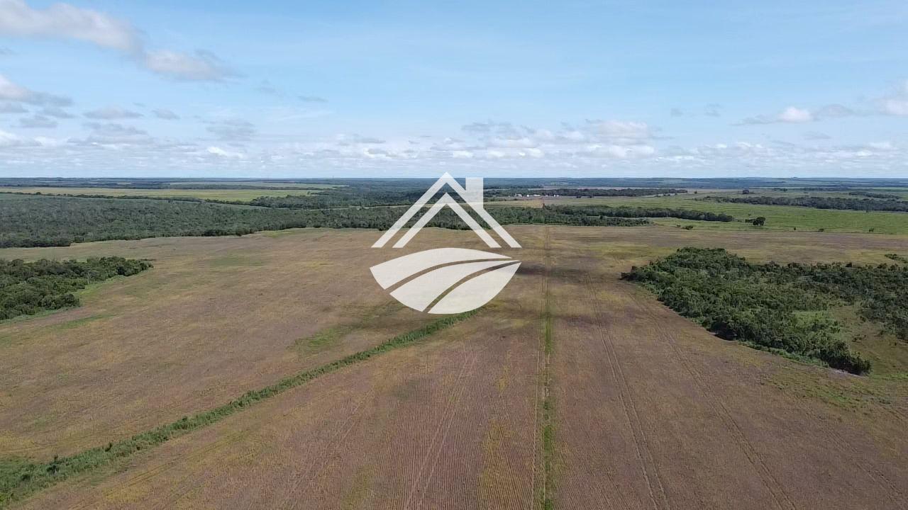 Fazenda, 1700 m² - Foto 1