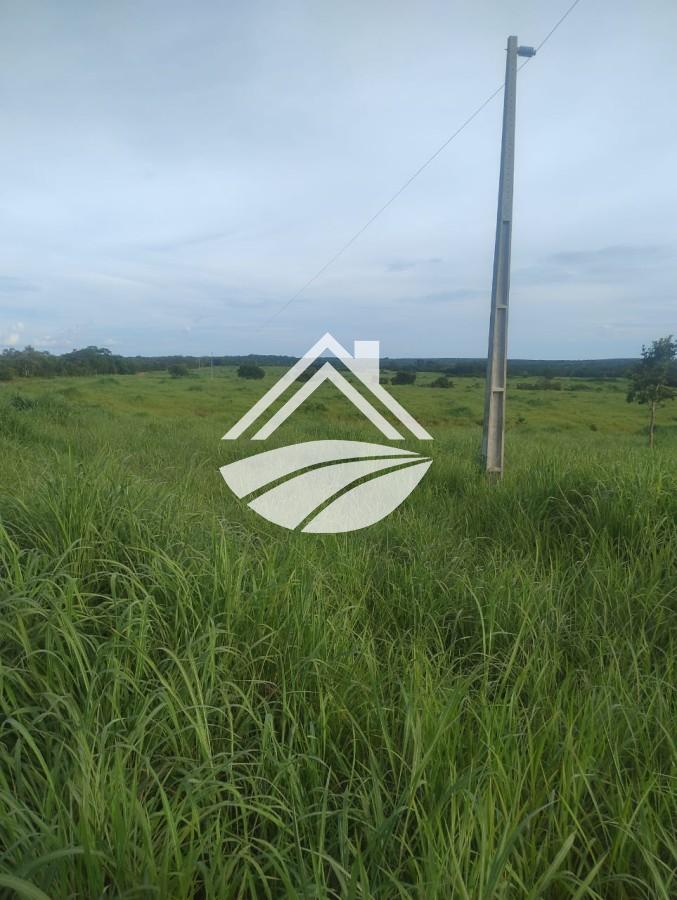 Fazenda, 469 m² - Foto 3