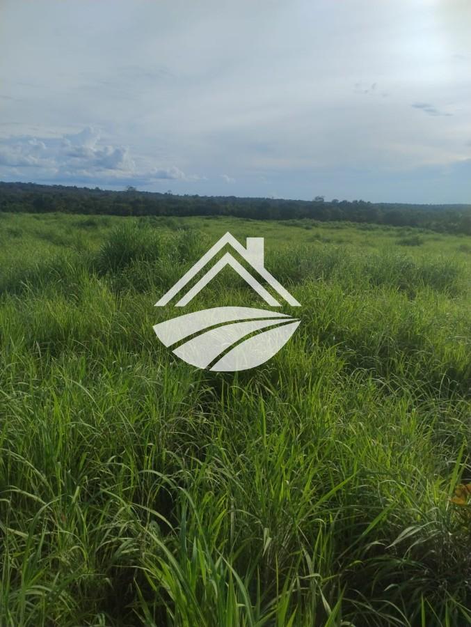 Fazenda, 469 m² - Foto 13