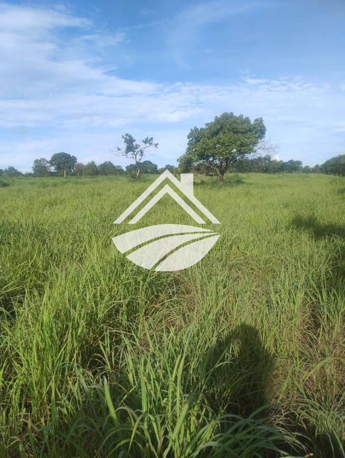 Fazenda, 469 m² - Foto 11