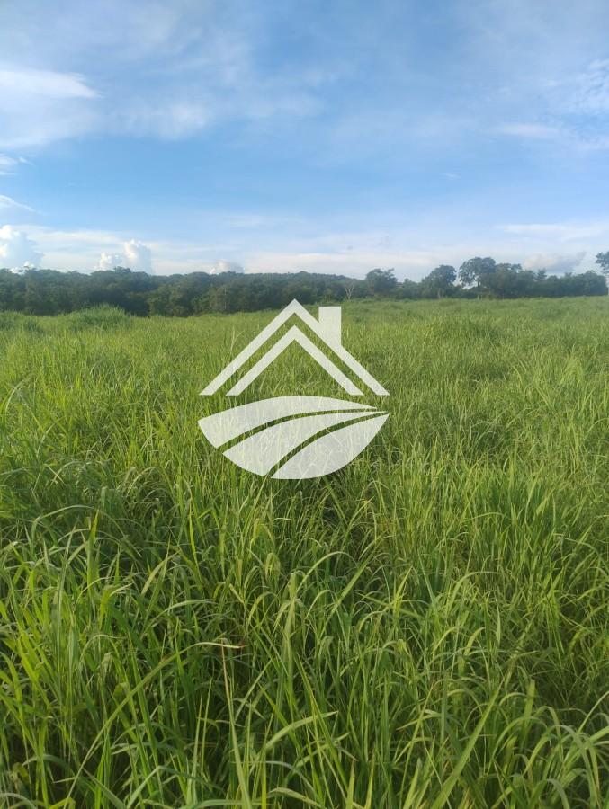 Fazenda, 469 m² - Foto 1