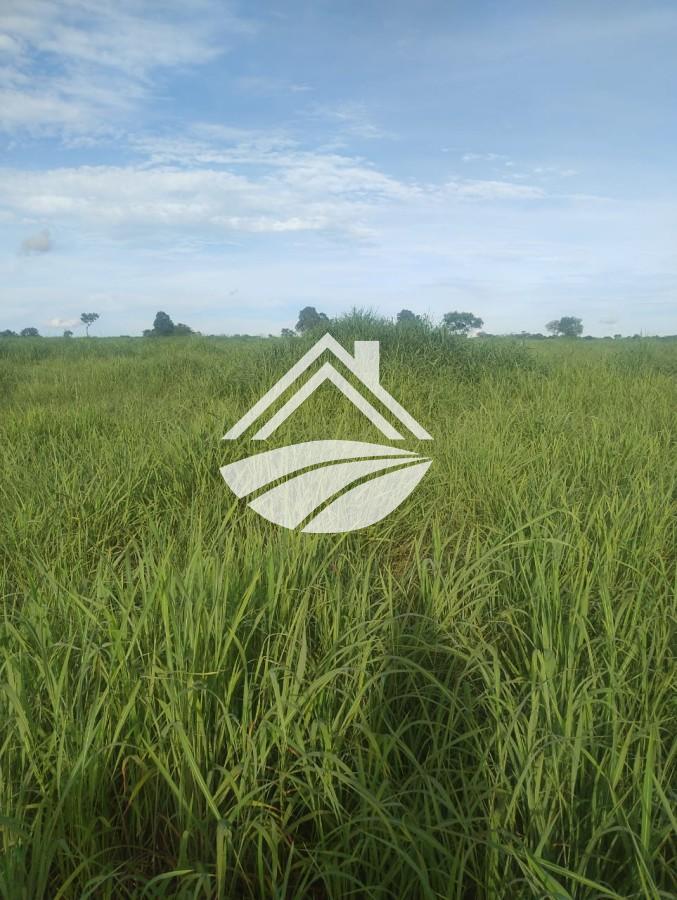 Fazenda, 469 m² - Foto 14