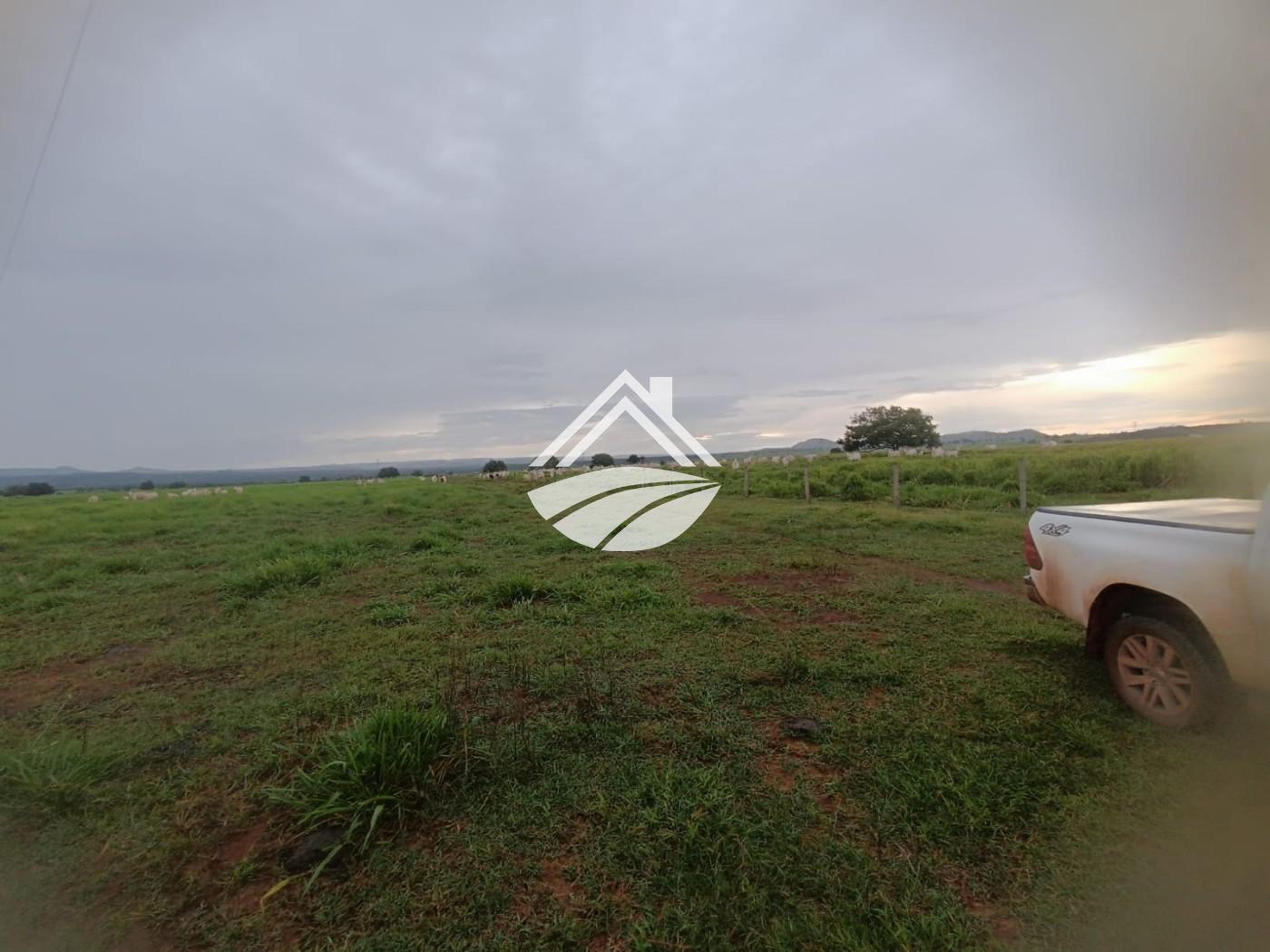 Fazenda, 2057 m² - Foto 7
