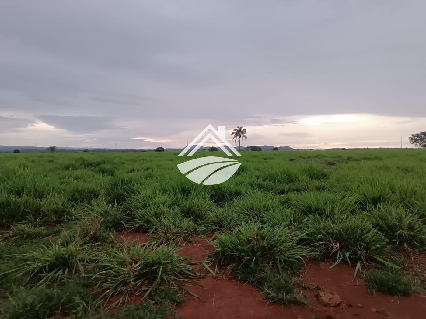 Fazenda, 2057 m² - Foto 9