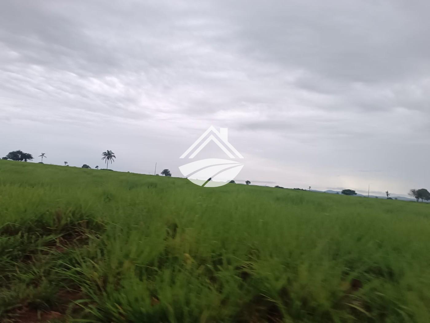 Fazenda, 2057 m² - Foto 12