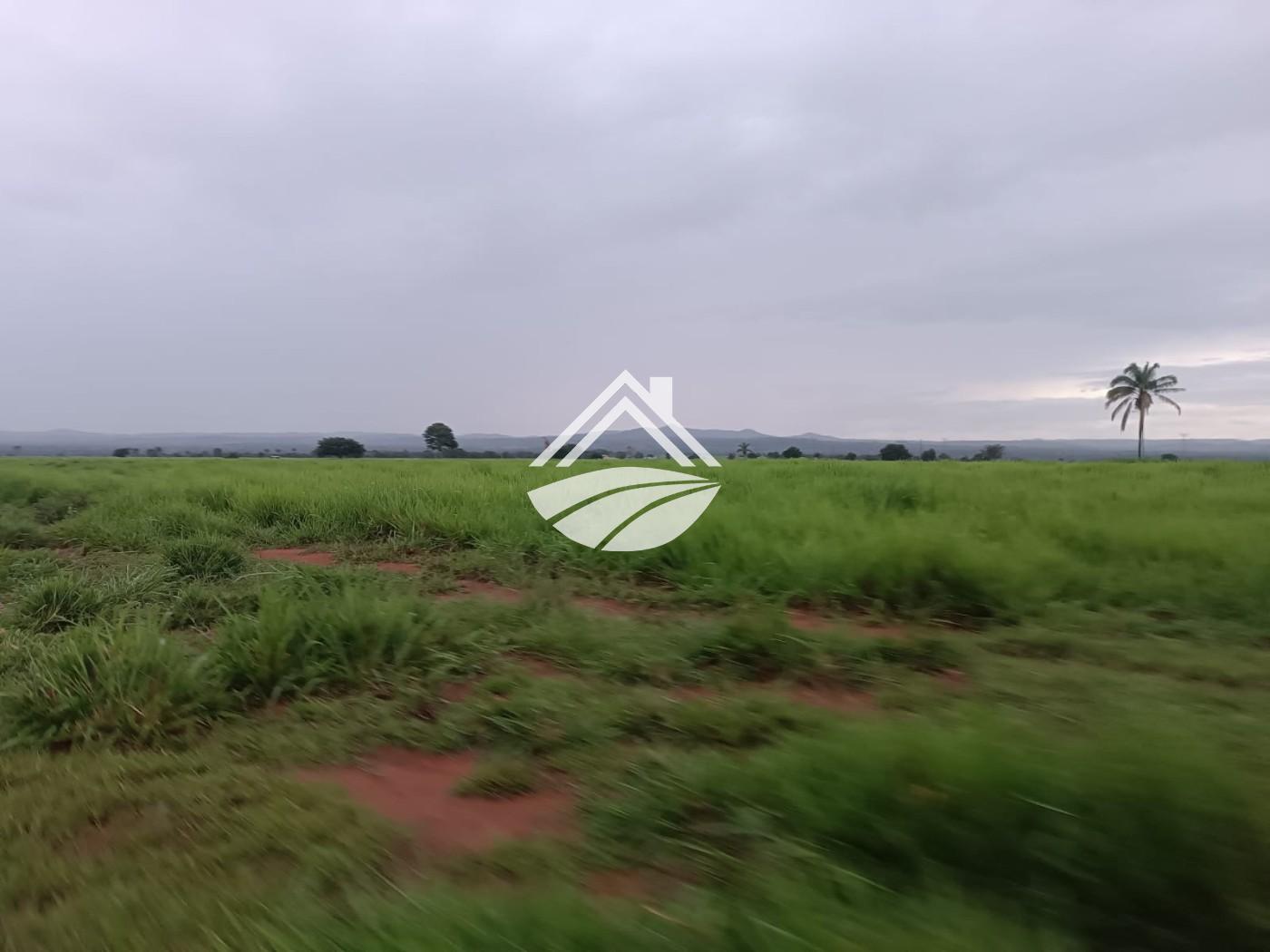 Fazenda, 2057 m² - Foto 14
