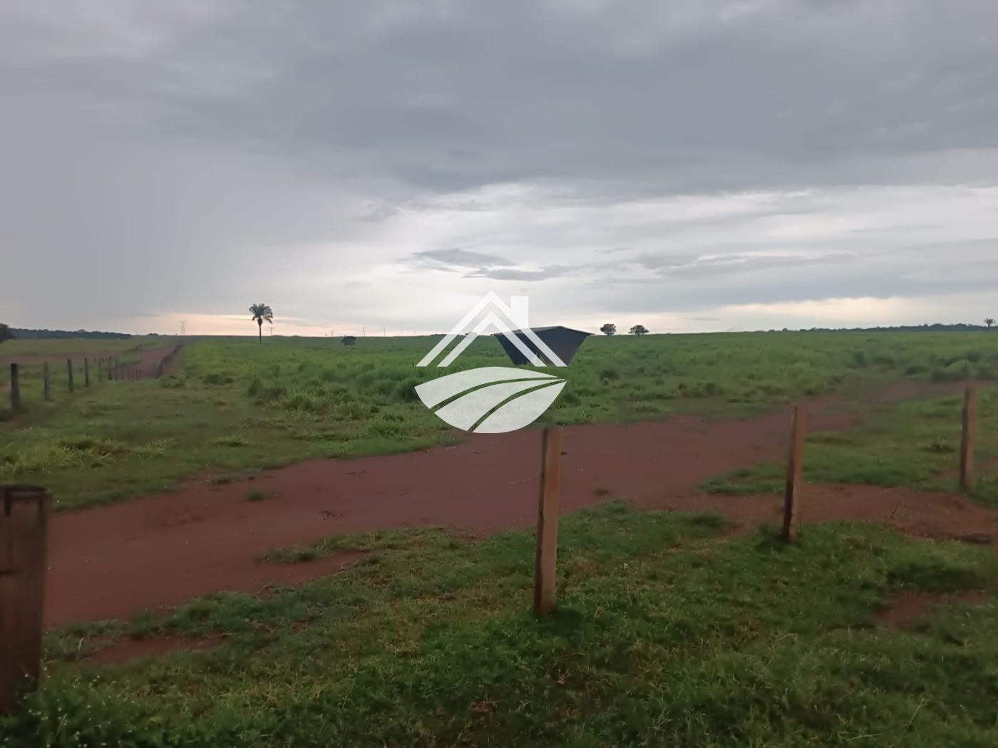 Fazenda, 2057 m² - Foto 13