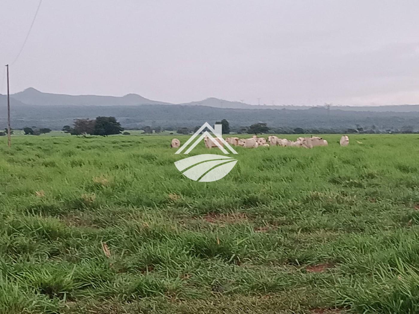 Fazenda, 2057 m² - Foto 18