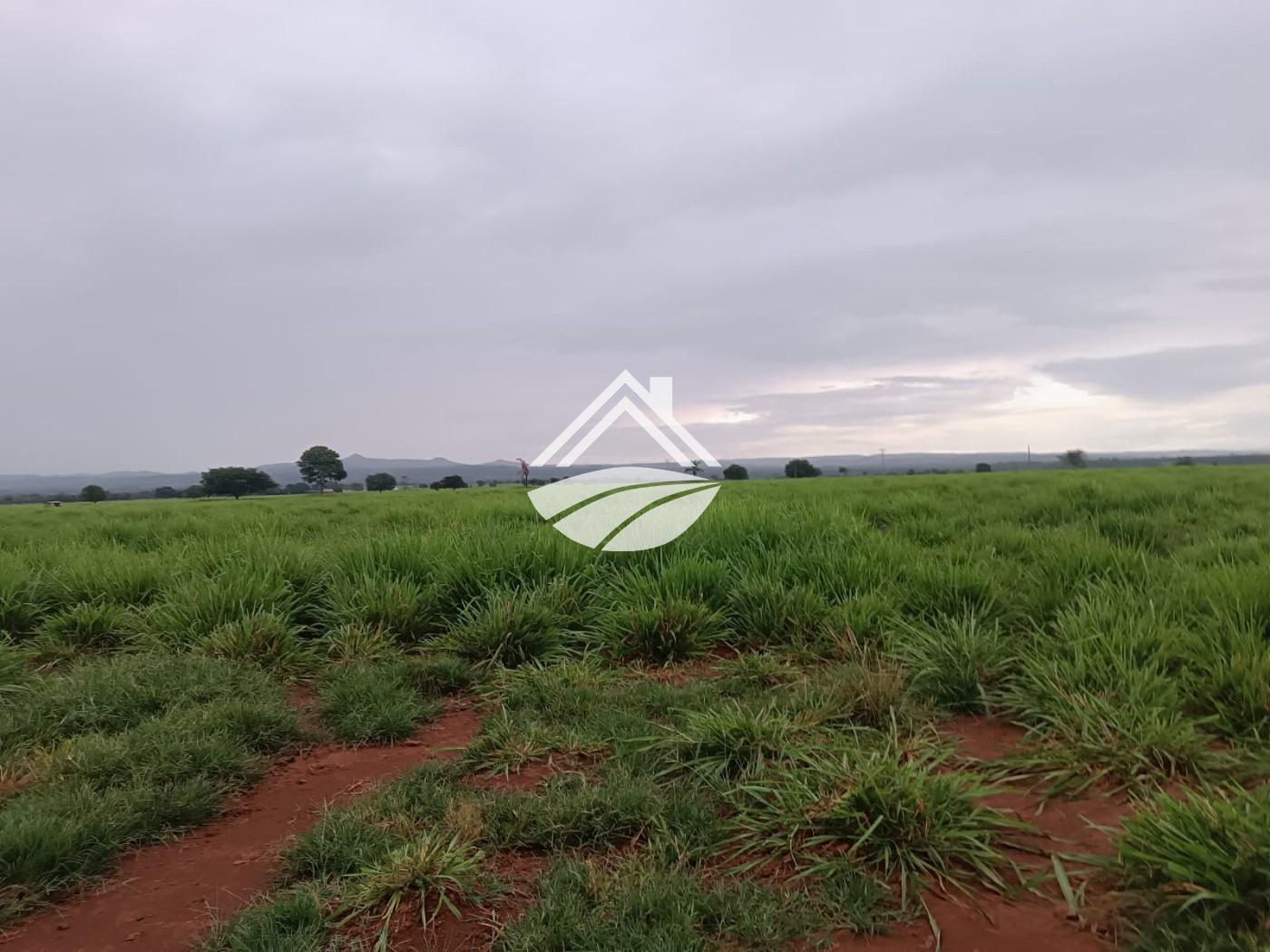 Fazenda, 2057 m² - Foto 22