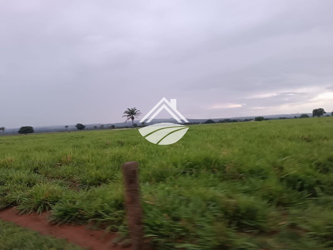 Fazenda, 2057 m² - Foto 26